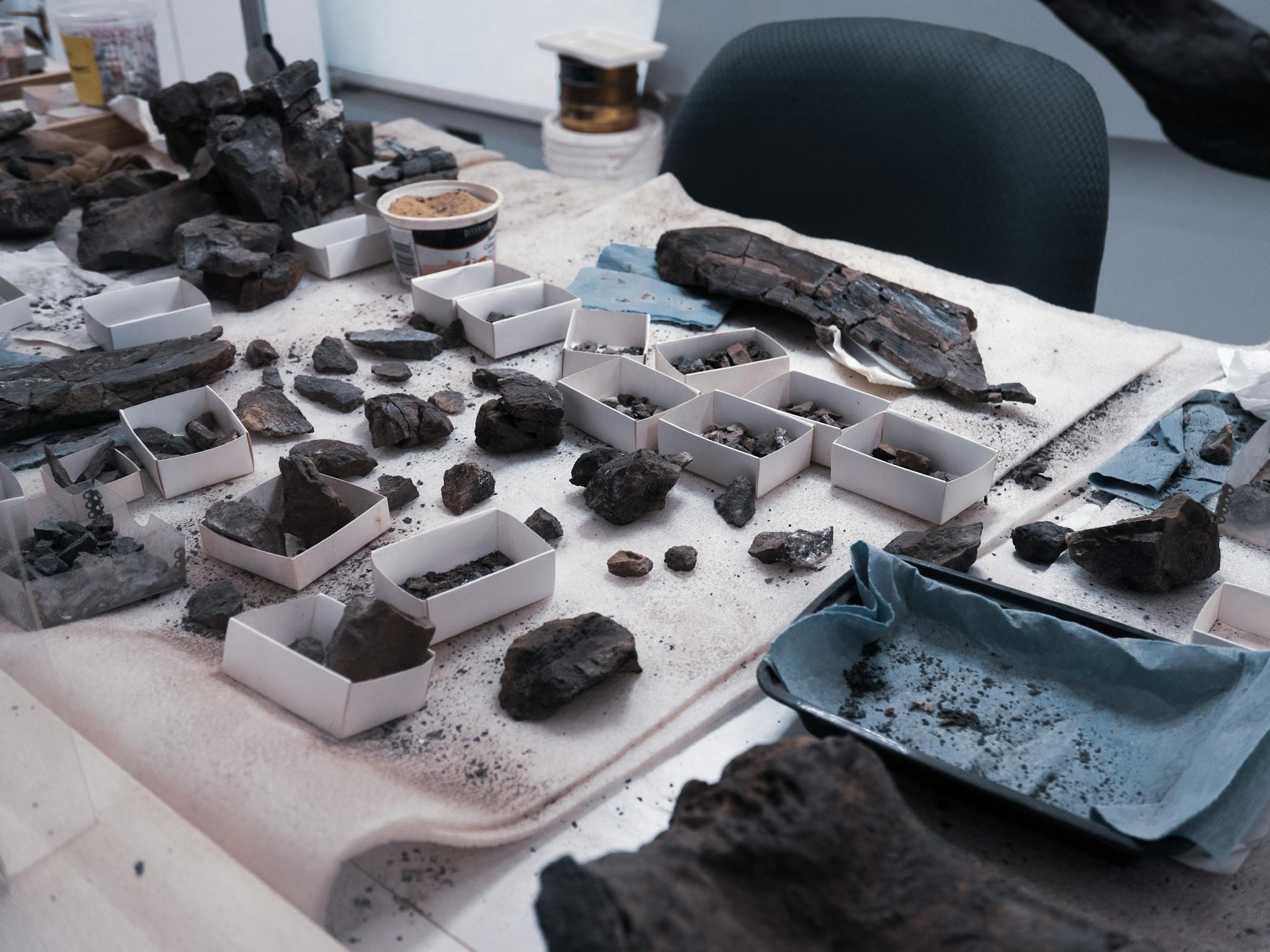 A cluttered desk showcasing various archaeological findings and ancient artifacts.